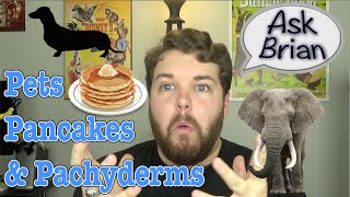 Pets Pancakes amp Pachyderms  Ask Brian [upl. by Nnairek396]