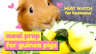 Safe Vegetables for Guinea Pigs  Meal Plan  Episode 1  GuineaDad [upl. by Tlok]