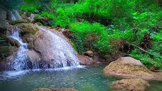 Cozy waterfall Relaxation sounds of nature flowing River Sounds for sleeping Sounds to relaxing [upl. by Kellda]