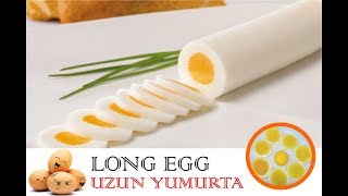 uzun yumurta orjinal ev yapımı Long Egg Production 2 speriment إنتاج البيض طويل [upl. by Buseck]