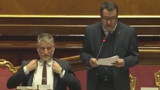 IL MINISTRO SALVINI RISPONDE AL QUESTION TIME AL SENATO DELLA REPUBBLICA [upl. by Sucrad]