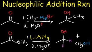 Nucleophilic Addition Reaction Mechanism Grignard Reagent NaBH4 LiAlH4 Imine Enamine Reduction [upl. by Dabney24]