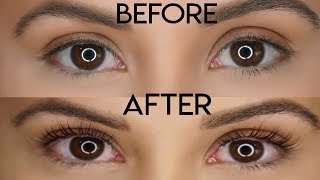 Discover the Magic of Lash Lift amp Tint Before and After Results [upl. by Ayocat295]