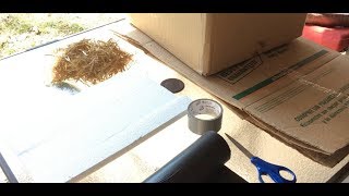 DIY Feral Cat Shelter out of Cardboard Box [upl. by Ryann502]