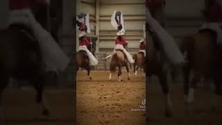 Drill team edit horse drillteam horsesports equestrian equestrianculture horsebackriding [upl. by Tyrrell943]