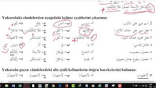 ilitam Arapça 2 ünite 2 alıştırma ve ünite sonu soru çözümleri [upl. by Farrison]