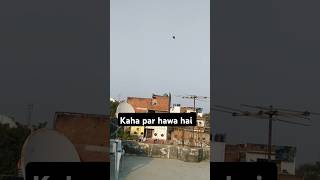 Kaha kaha hawa chal rahi hai 🧐flyingkites flyingkites kiteflying kitecautting wind [upl. by Selimah]