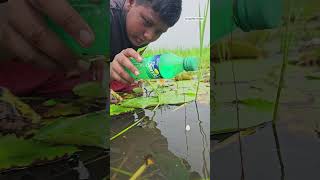 Unbelievable plastic Bottle Hook Fishing Techinques🐬 Bottle Hook Fishing challenge 2024 shorts [upl. by Merceer]