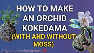 How to make an orchid kokedama with and without moss old kokedama maintenance [upl. by Daht]