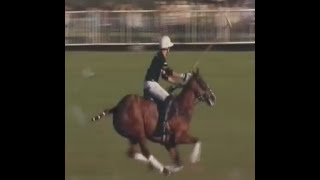 2016 HURLINGHAM FINAL ELLERSTINA VS DOLFINA ESPN [upl. by Nelak127]