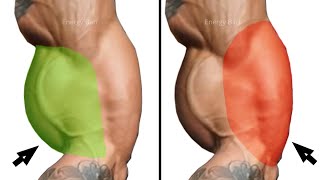 Get Huge Biceps Triceps Exercises that make Biceps Triceps Faster [upl. by Jo-Anne]