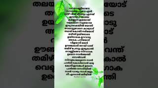 Va vennilave ♥️song lyrics malayalamsonglyrics trendingsong hitsong lyrics shortvideo [upl. by Nnylodnewg774]