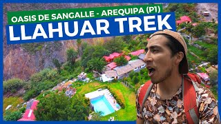 🦅🔥 LLAHUAR TREK en el Cañón del COLCA  🌴 Oasis de SANGALLE ☀️ Parte 1 [upl. by Leod459]