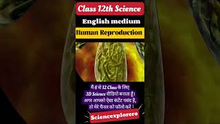 Human reproduction  Class 12th ncert class12th biology ncertneetpreparation [upl. by Aikcin]