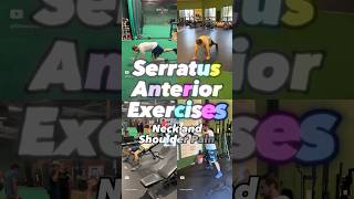 My Favorite Serratus Anterior Exercises for Neck and Shoulder Pain  Physical Therapy [upl. by Semyaj]