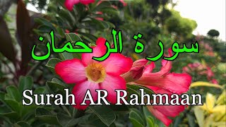 surah ar rahman [upl. by Aseeral]