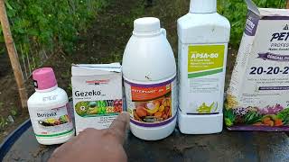 Pag spray ng insecticide fungicide foliar at sticker Pani bagong video Pani bagong kaalaman nanaman [upl. by Ethan]