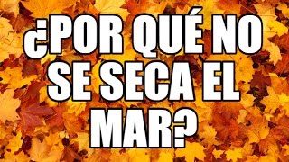 5 Acertijos con Respuesta en Español ¿Por qué no se seca el mar [upl. by Averil658]