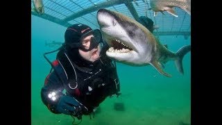 اقوي 5 مشاهد لي هجوم القرش علي البشر مشاهد حقيقيه Shark attack [upl. by Kesia]