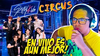 Cantante de Metal Reacciona a Stray Kids  Circus EN VIVO [upl. by Ahsier]