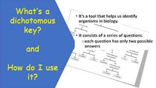 Dichotomous Key Tutorial abridged video [upl. by Lillian]