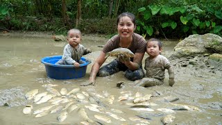 Harvest fish ponds and bring them to the market to sell  make banana cakes for your children to eat [upl. by Elatsyrk]