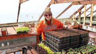 Coleus Planting Chat  Why quotThe Big Housequot is So Special  Flower Hill Farm [upl. by Issie]