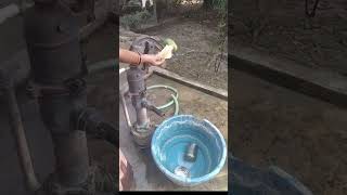 pet parrot kalakari enjoy karte huye tote ke sath mitthu bahut katta hai bhai [upl. by Eiramacissej]