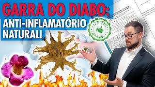 Garra do Diabo Arpadol Artroflan para que serve e como usar com segurança Harpagophytum [upl. by Drucilla783]