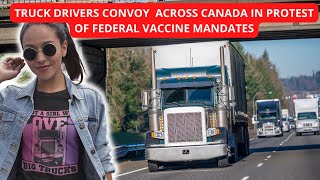 TRUCK DRIVERS CONVOY ACROSS CANADA IN PROTEST OF FEDERAL VACCINE MANDATES 🍁 shorts trudeaumustgo [upl. by Plunkett516]