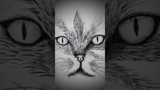 Cat Face pencil Drawing art cat shorts [upl. by Nairrad60]