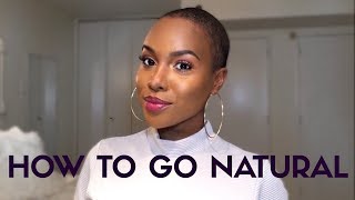 How To Go Natural  Things EVERY Natural Should Know  Nia Hope [upl. by Iduj]