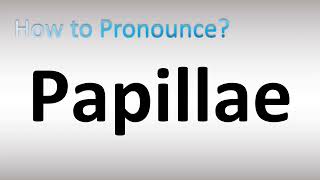 How to Pronounce Papillae [upl. by Gnanmos]