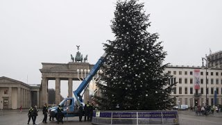 „Letzte Generation“ Weihnachtsbaum am Brandenburger Tor abgesägt [upl. by Aloel]