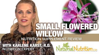 Small Flowered Willow for Prostate  Professional Supplement Review  National Nutrition Canada [upl. by Kamin]