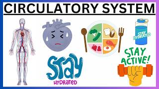 CIRCULATORY SYSTEM [upl. by Kaule]