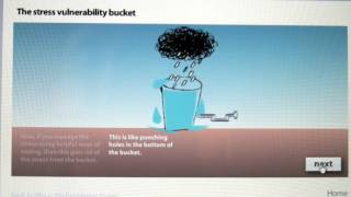 The Stress Vulnerability Bucket [upl. by Ejroj]