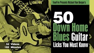 50 Down Home Blues Licks  Intro  Richard Van Bergen [upl. by Yaresed269]