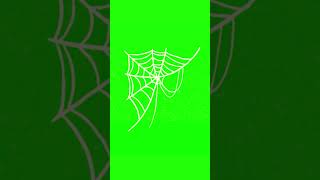 The Green Room  Webs and Creeps  Chroma Key  Green Screen greenscreen shorts [upl. by Schreiber]