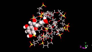 Allatom molecular dynamics simulation of cyclodextrindelphinidin complex [upl. by Eessej]