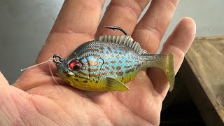 When The Sleeper Gill Hammers Summertime Bass… [upl. by Chong]