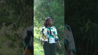 BililghAfrem TameruNew Ethiopian music 2024new amharic music 2024 music nahomrecords [upl. by Attenwahs]