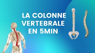 LA COLONNE VERTEBRALE EN 5MIN [upl. by Eanerb]