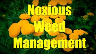 Noxious Weed Management [upl. by Corene]