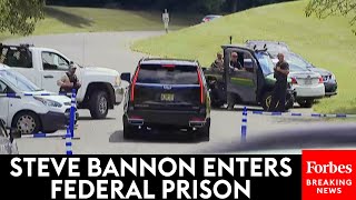 BREAKING NEWS Steve Bannon Enters Federal Prison In Danbury Connecticut For FourMonth Sentence [upl. by Suirauqram]