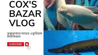 কক্সবাজার মাছের একুরিয়াম মিউজিয়াম Coxs Bazar vlog video travel zone 02 [upl. by Linn]