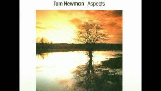 TOM NEWMAN The Rokeby Venus ASPECTS [upl. by Dream]