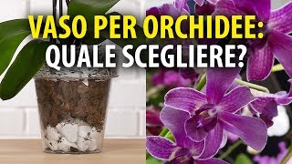 Vasi per Orchidee Quale Scegliere [upl. by Ahsinam]