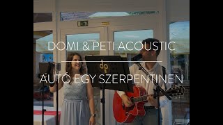 Quimby  Autó egy szerpentinen Live Acoustic Cover [upl. by Bobine]