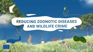 SAFE Reducing zoonotic risks and wildlife crime Vietnamese subtitles [upl. by Roane226]